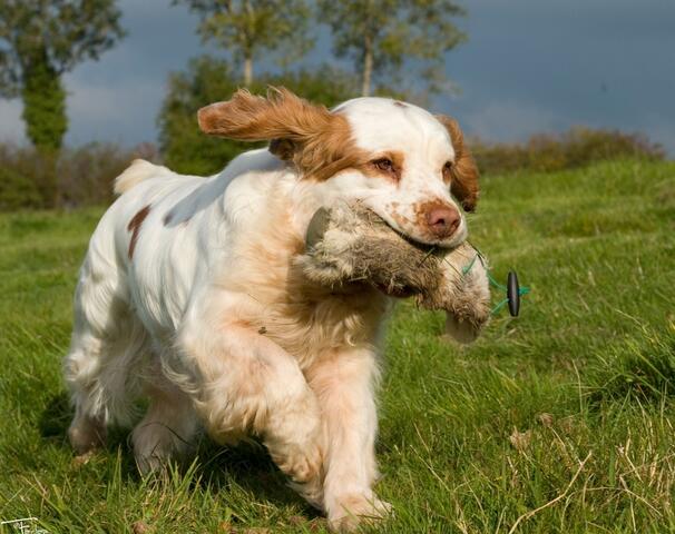 Gry © Farlap Gry © Farlap