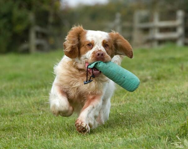 Tamar ©Farlap Tamar ©Farlap